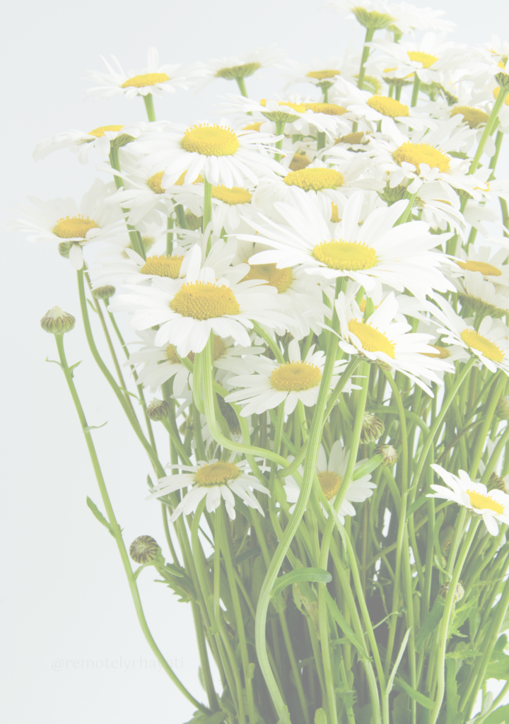 chamomile bouquoet
